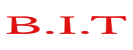 logo_BIT